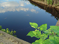 Derecho Ambiental